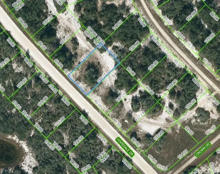 269 Hopedale Drive, Lake Placid, FL 33852 - Image #1