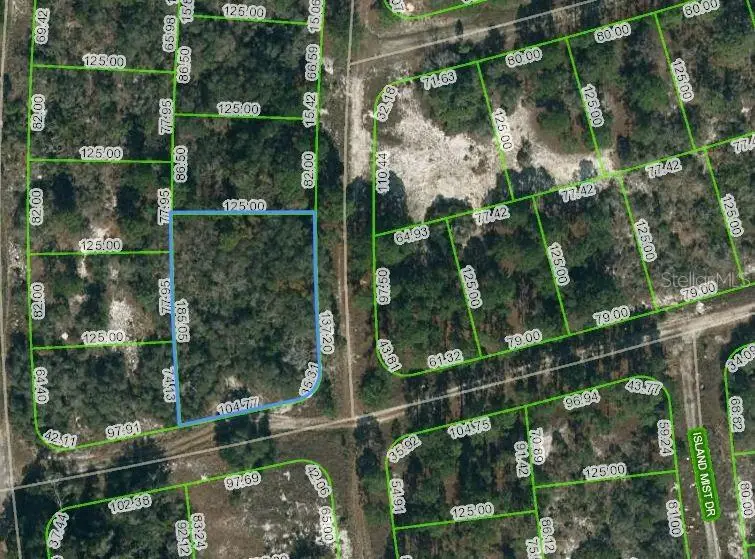 238 Horizon Drive, Lake Placid, FL 33852 - Image #1