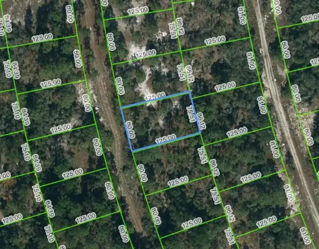 217 Blue Horizon Drive, Lake Placid, FL 33852 - Image #1