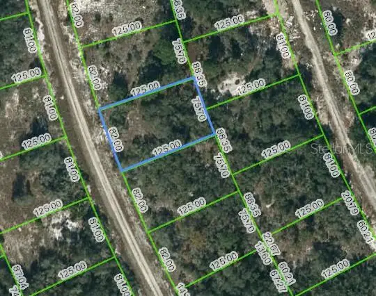 217 Blue Sky Drive, Lake Placid, FL 33852 - Image #1