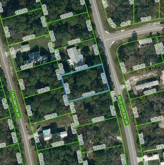 112 Blue Horizon Drive, Lake Placid, FL 33852 - Image #1