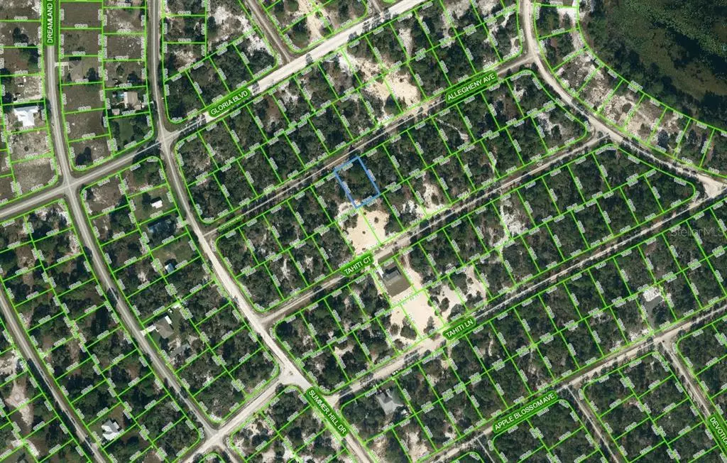 411 Allegheny Avenue, Lake Placid, FL 33852 - Image #1