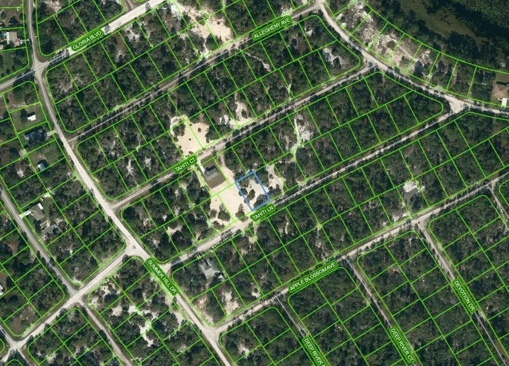 410 Tahiti Lane, Lake Placid, FL 33852 - Image #1