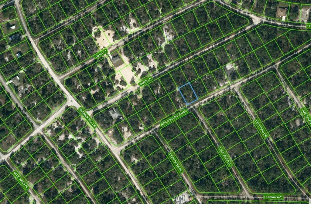 414 Apple Blossom Court, Lake Placid, FL 33852 - Image #1