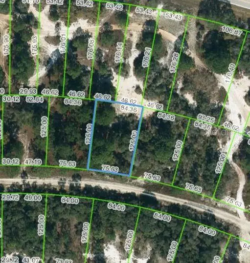 444 Morningside Drive, Lake Placid, FL 33852 - Image #1