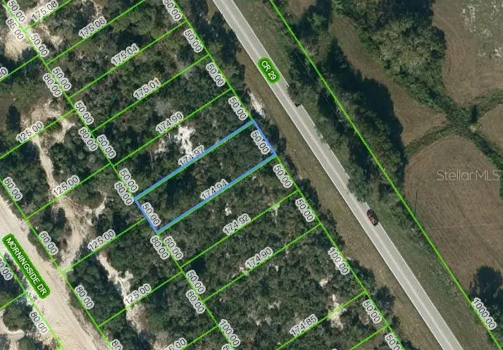 1029 County Road 29, Lake Placid, FL 33852 - Image #1