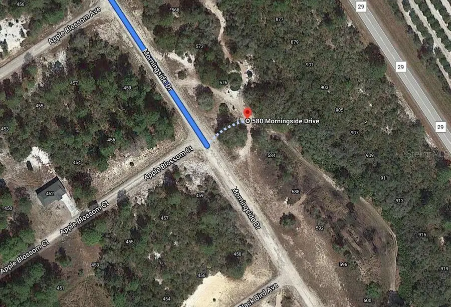 580 Morningside Drive, Lake Placid, FL 33852 - Image #2