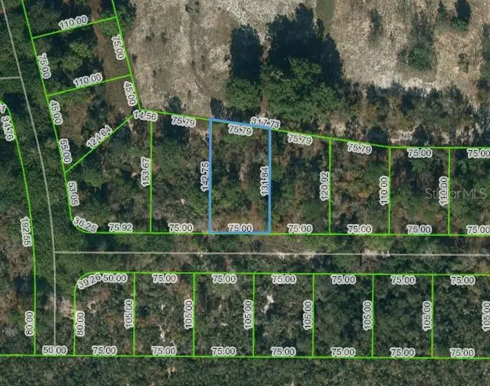 136 Claverland Drive, Lake Placid, FL 33852 - Image #1