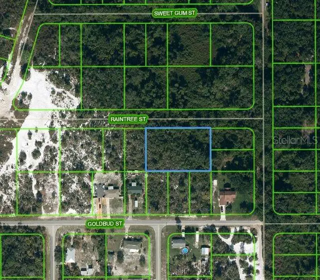 1515 Raintree Street, Lake Placid, FL 33852 - Image #1