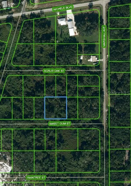 1510 Sweet Gum Street, Lake Placid, FL 33852 - Image #1