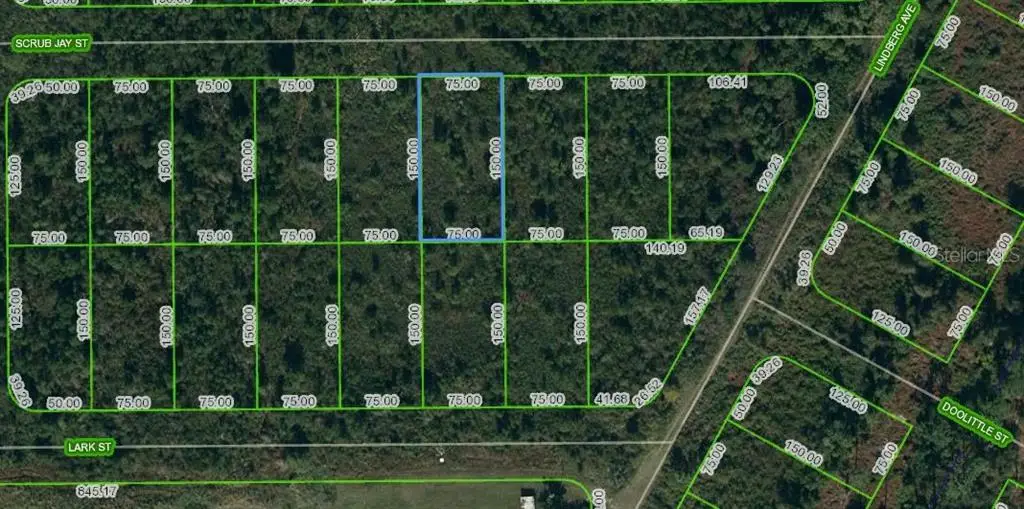 1431 Scrub Jay Street, Lake Placid, FL 33852 - Image #1