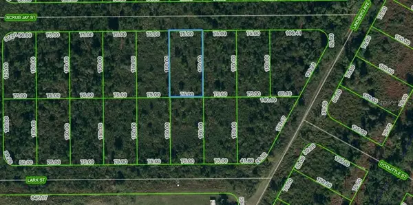 1435 Scrub Jay Street, LAKE PLACID, FL 33852