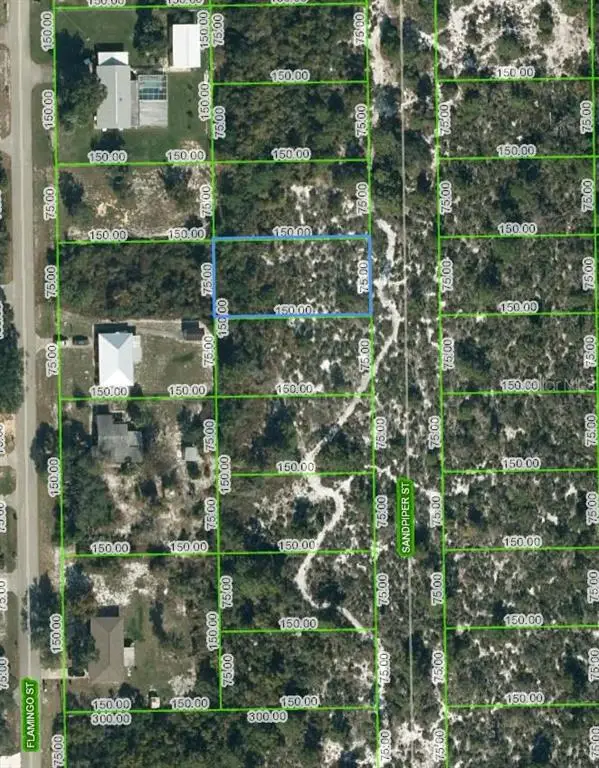 246 Sandpiper Street, Lake Placid, FL 33852 - Image #1