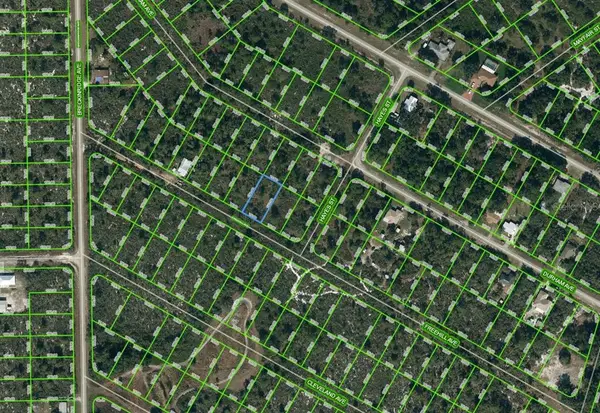 1034 Freehill Avenue, LAKE PLACID, FL 33852