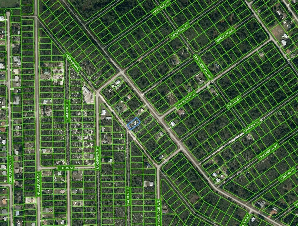 417 Durham Avenue, Lake Placid, FL 33852 - Image #1