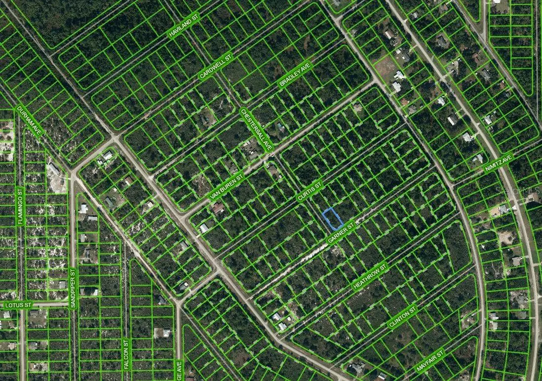 1230 Chestersall Avenue, Lake Placid, FL 33852 - Image #1