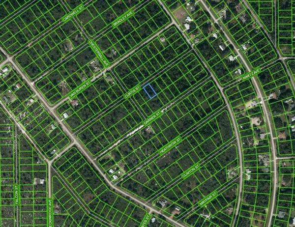 1221 Curtis Street, LAKE PLACID, FL 33852