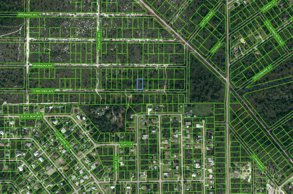 590 Tennessee Avenue, LAKE PLACID, FL 33852