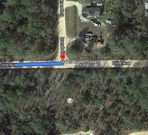 115 Branch Avenue, Interlachen, FL 32148 - Image #2