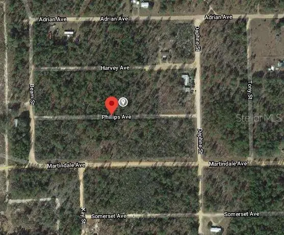 00 Phillips Avenue, Interlachen, FL 32148 - Image #2