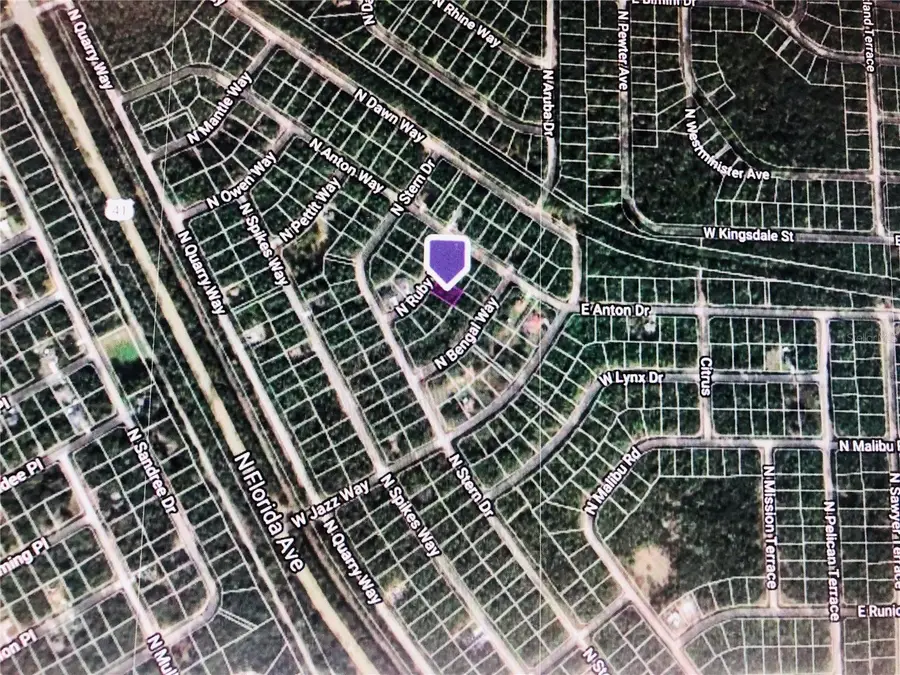 8991 N Ruby Way, Citrus Springs, FL 34434 - Image #2