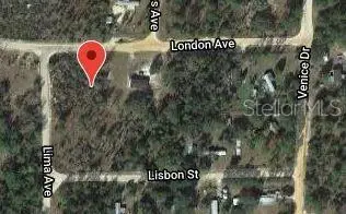 115 London Avenue, Interlachen, FL 32148 - Image #2