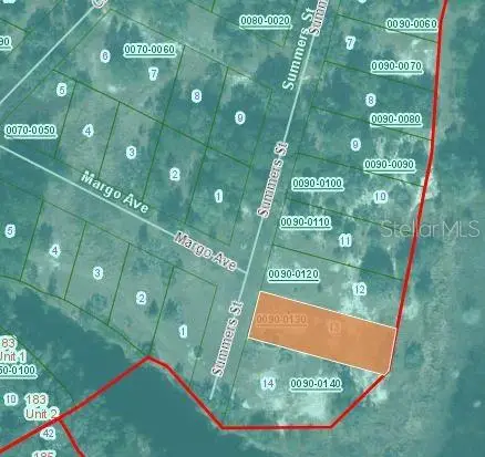 124 Summers Street, Interlachen, FL 32148 - Image #3