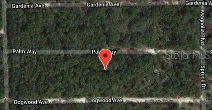 117 Palm Way, Georgetown, FL 32139 - Image #2