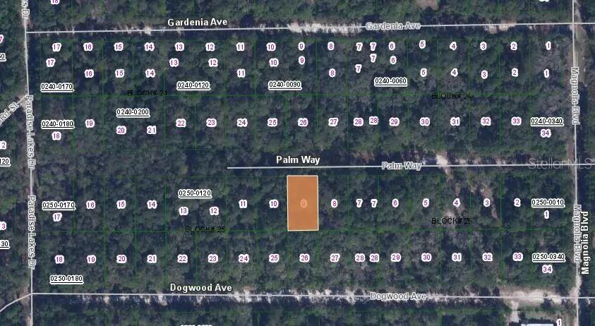 117 Palm Way, Georgetown, FL 32139 - Image #3