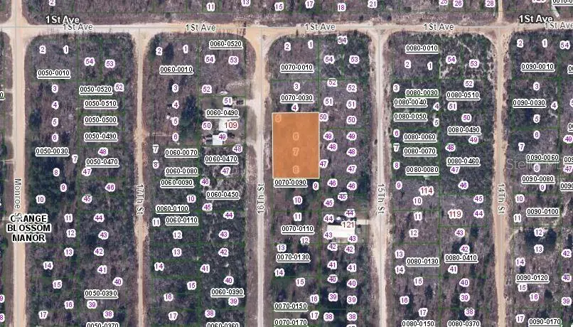 106 16th Street, Interlachen, FL 32148 - Image #3