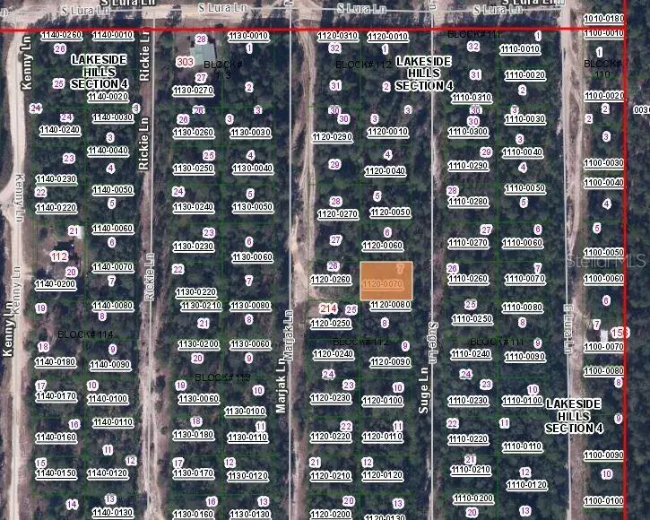 313 Suge Lane, Florahome, FL 32140 - Image #3