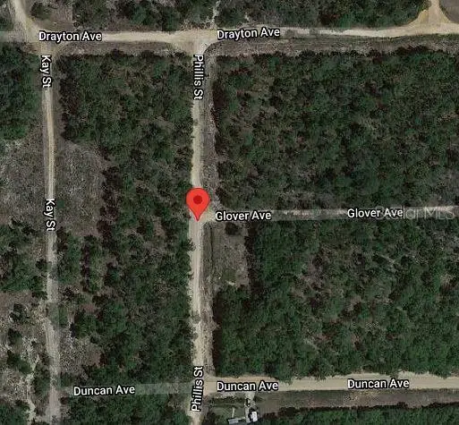 100 Phillis Street, Interlachen, FL 32148 - Image #3