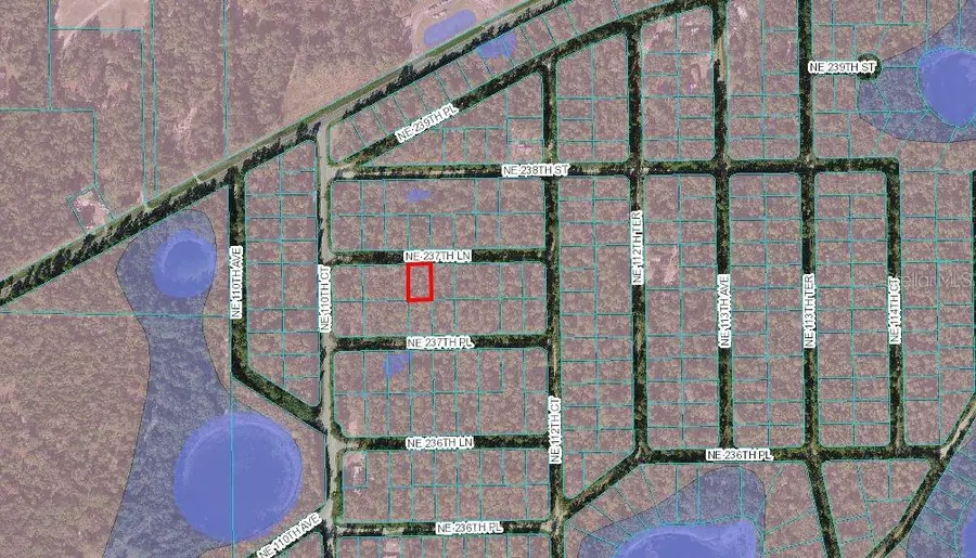 LOT 4 NE 237th Lane, Fort McCoy Anthony, FL 32134 - Image #3