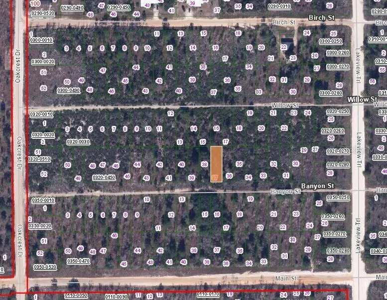 00 Banvon Street, Interlachen, FL 32148 - #2