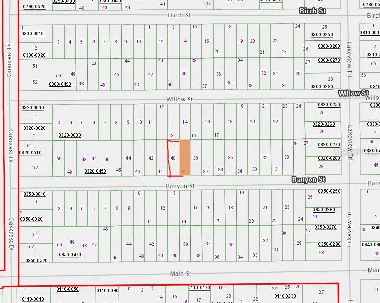 00 Banvon, Interlachen, FL 32148 - #1