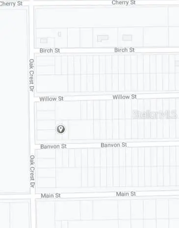 00 Banvon Street, Interlachen, FL 32148 - #3