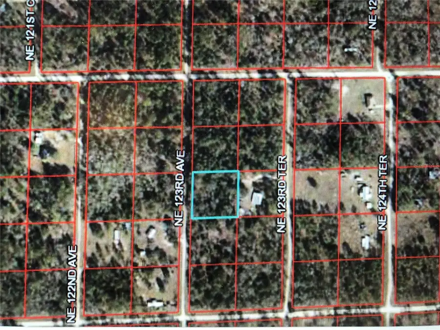 0 NE 123rd Avenue, Williston, FL 32696 - Image #3