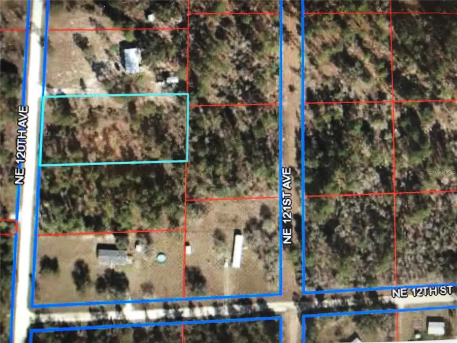 0 NE 120th Avenue, Williston, FL 32696 - Image #2