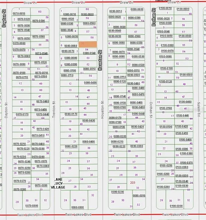 00 Houston Street, Interlachen, FL 32148 - #1