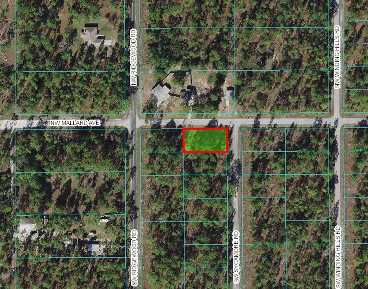 NW Mallard Ave & Sw Sycamore Rd, Dunnellon, FL 34431 - Image #1