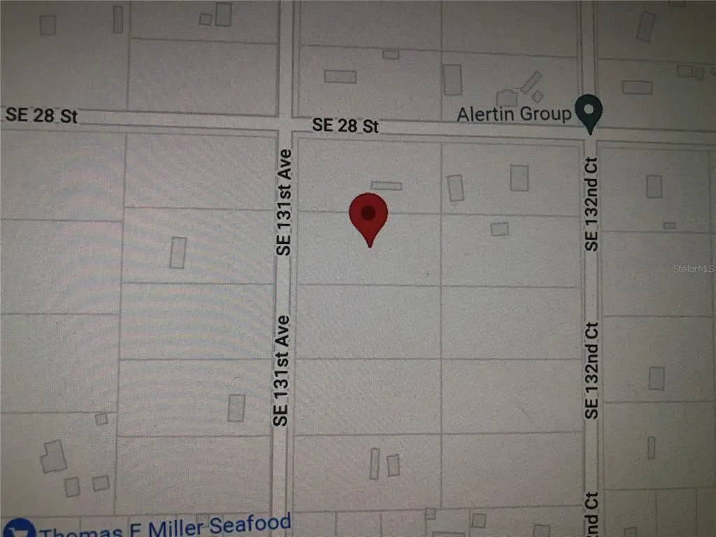 0 SE 131st Avenue, Morriston, FL 32668 - Image #1