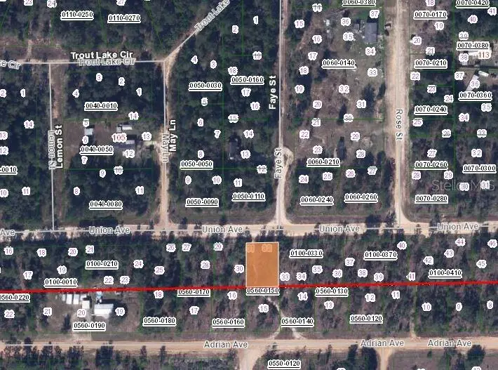 405 Union Avenue, Interlachen, FL 32148 - Image #2