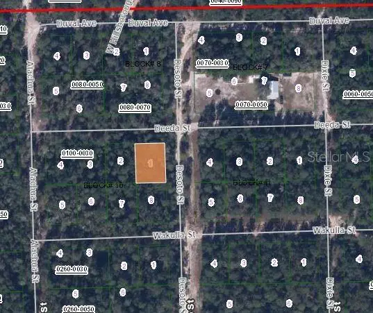 105 Deeda Street, Florahome, FL 32140 - Image #2