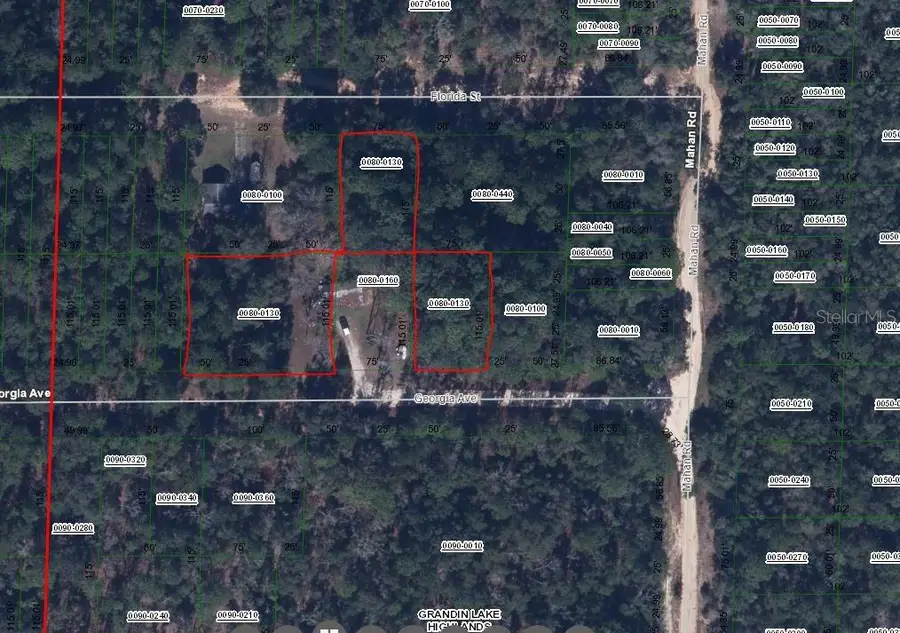 00 Georgia Avenue, Interlachen, FL 32148 - #2