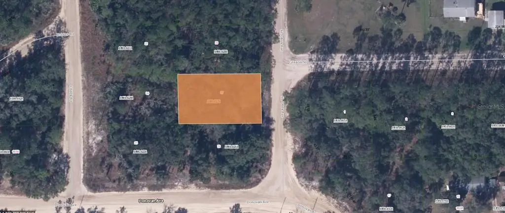 103 St Johns Avenue, Interlachen, FL 32148 - Image #1