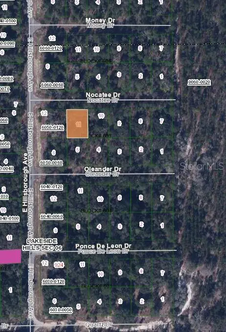 103 Nocatee Drive, Florahome, FL 32140 - Image #2