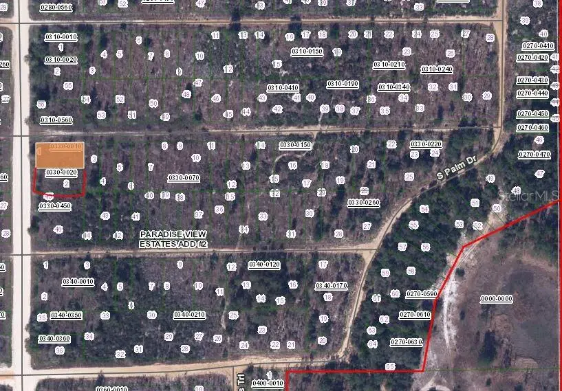 00 Willow Street And Lakeview Street Corner, Interlachen, FL 32148 - #3