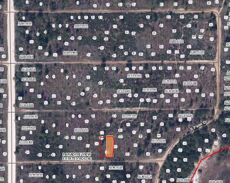 00 Banvon, Interlachen, FL 32148 - Image #2