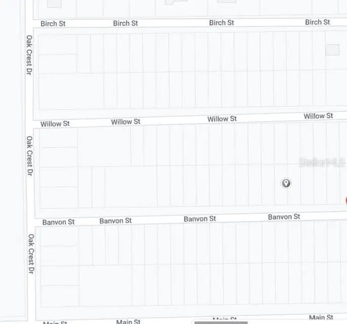 00 Banvon, Interlachen, FL 32148 - Image #3