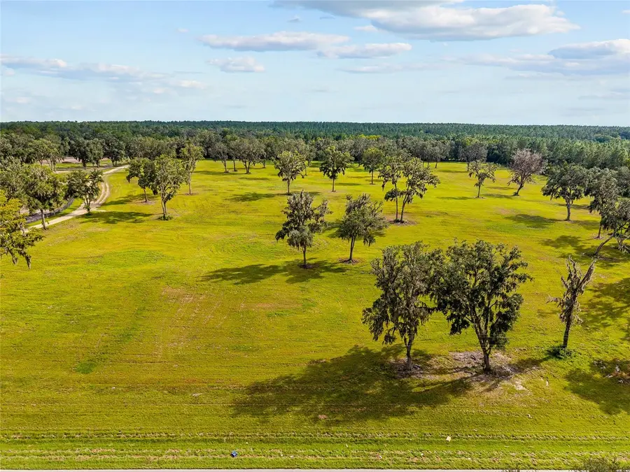 TBD W 316 Highway, Reddick, FL 32686 - Image #2